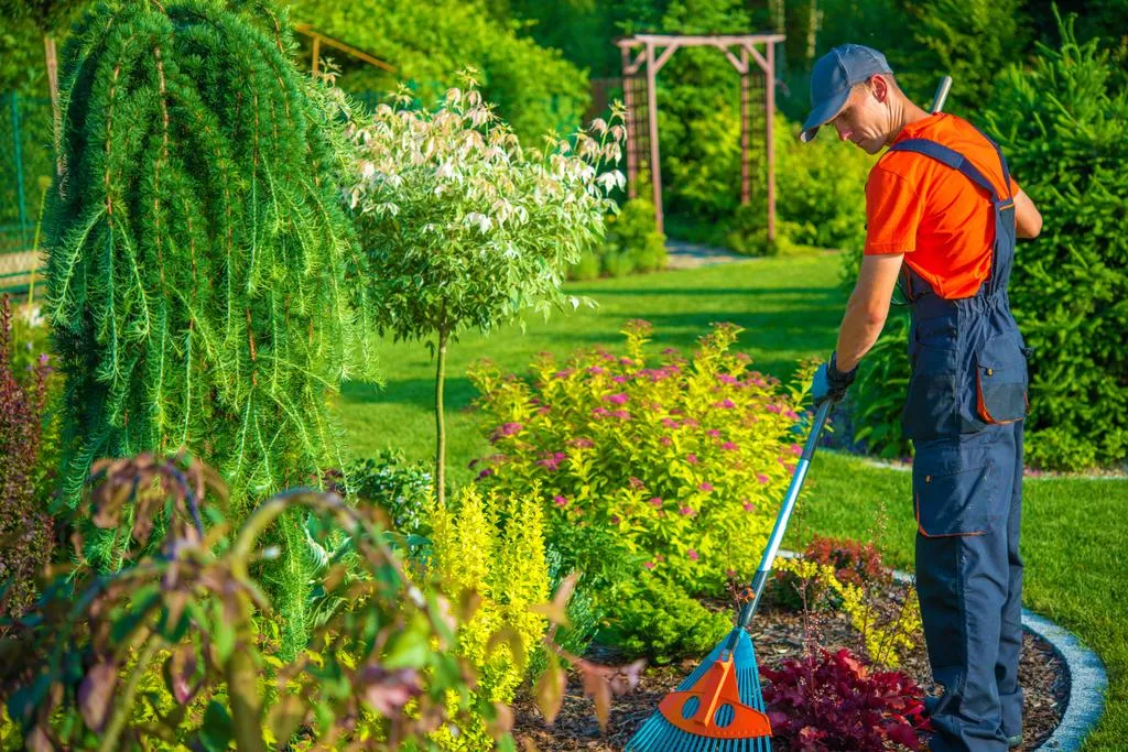 Manutenção de Jardins de Condomínio em Mirandópolis